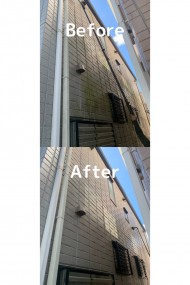 S__96305154
